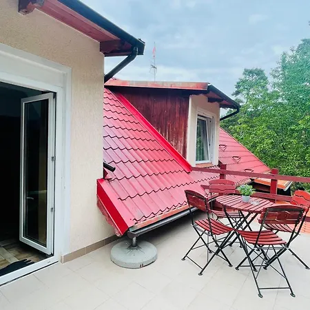 Róża Wiatrów-3